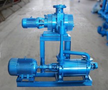 浙江J2J2S罗茨水环机组