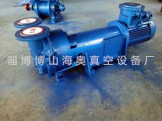 浙江2BV防爆真空泵